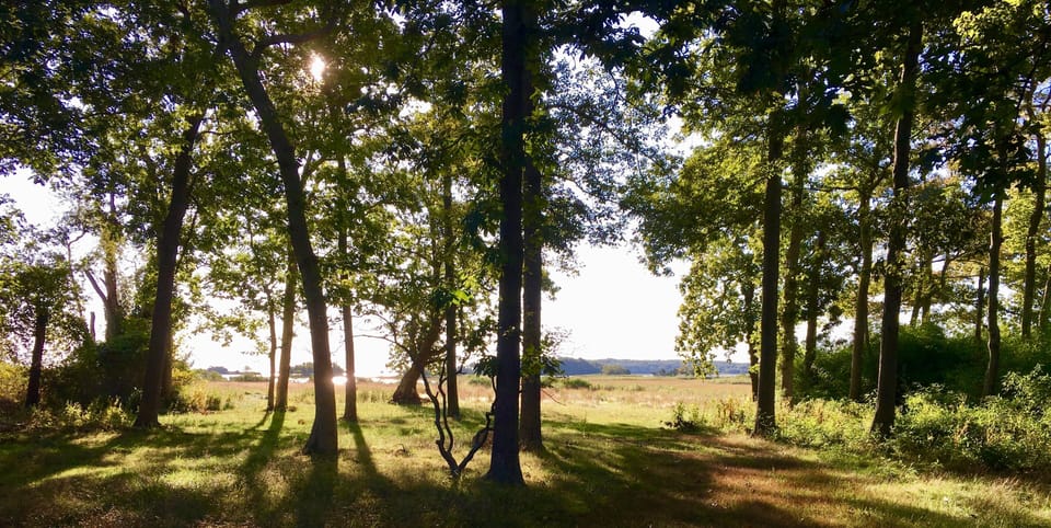 Spectacular walking trails, water views, behind house.