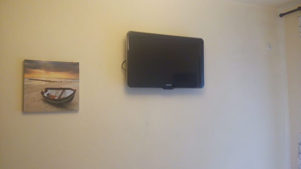 Television
