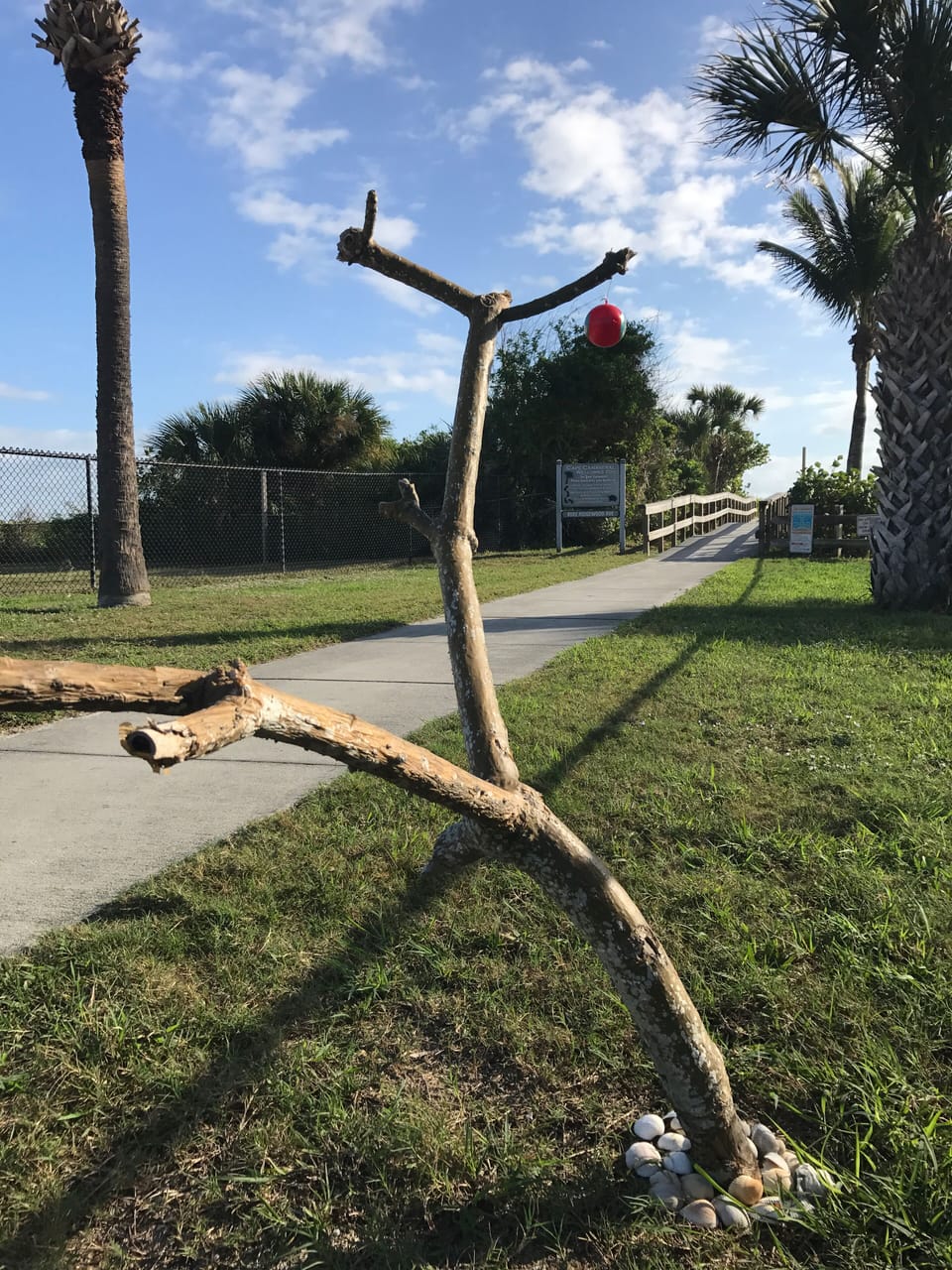 Cape Canaveral beach 