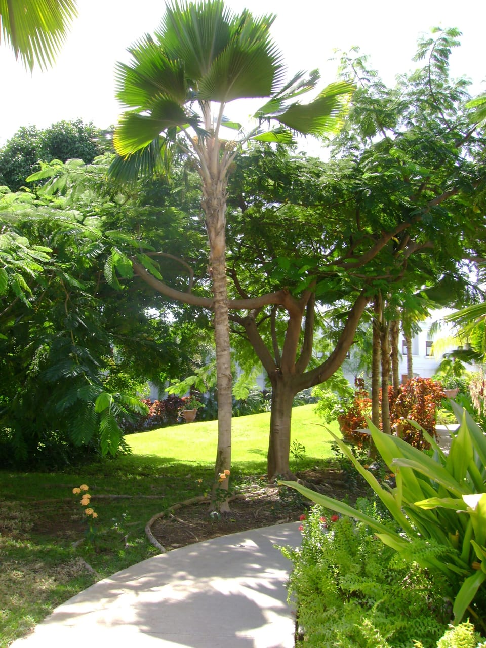 Gardens