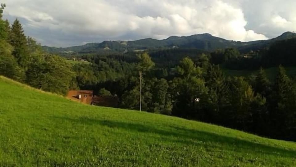 Picture 14