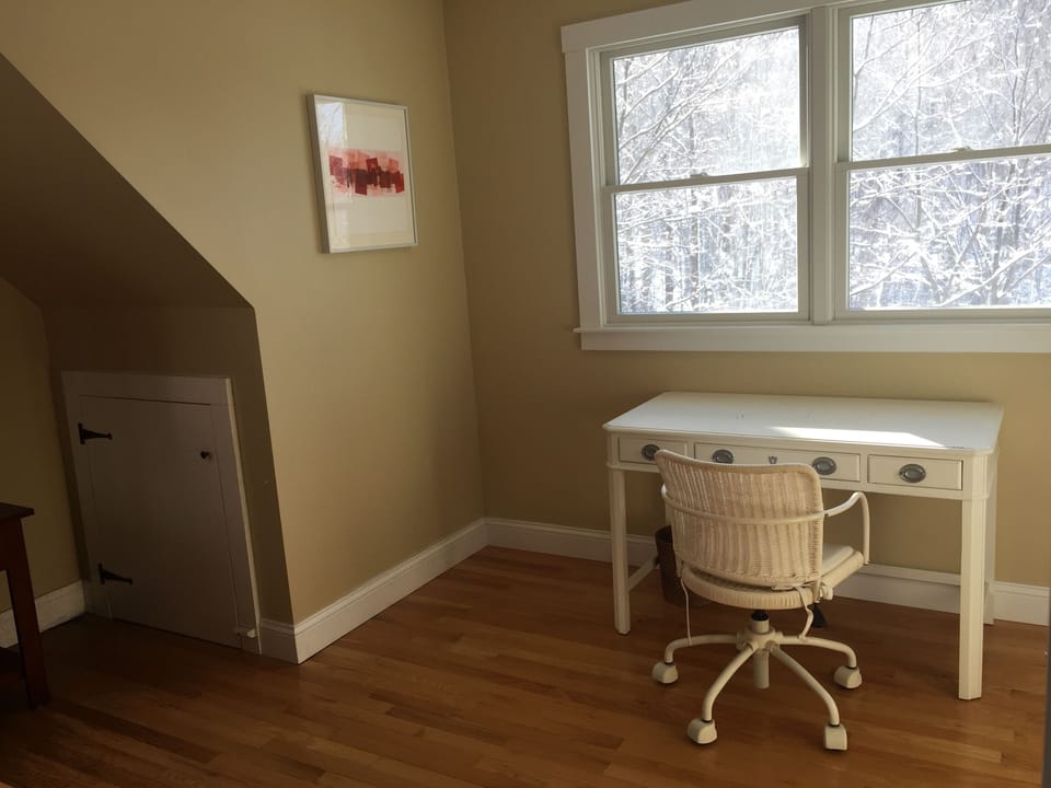Study with view to lake