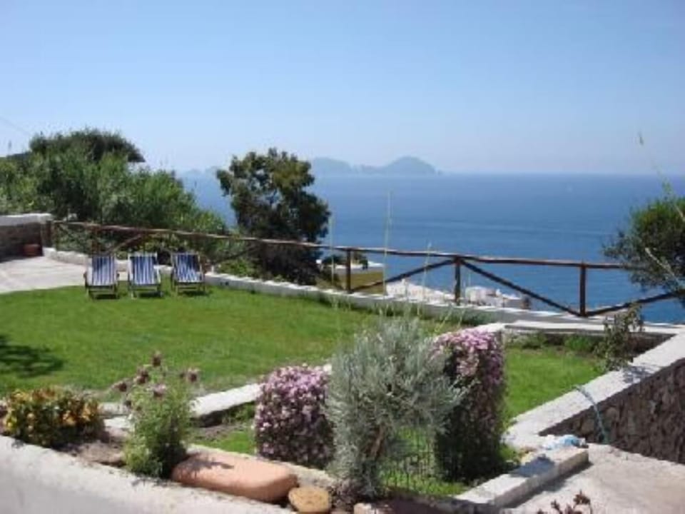Garden, Park