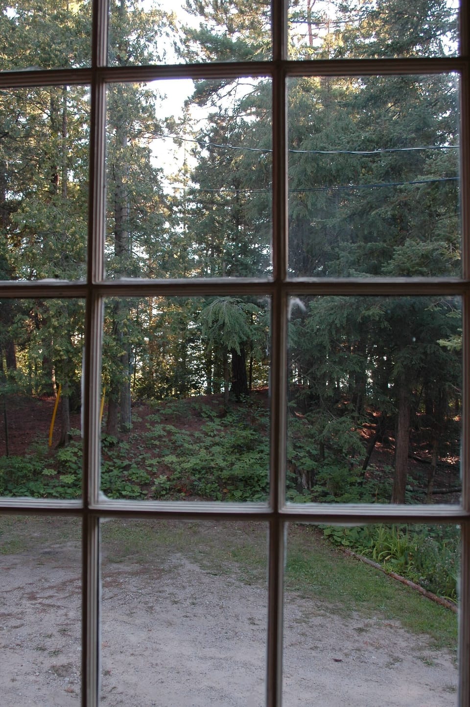 view from cabin