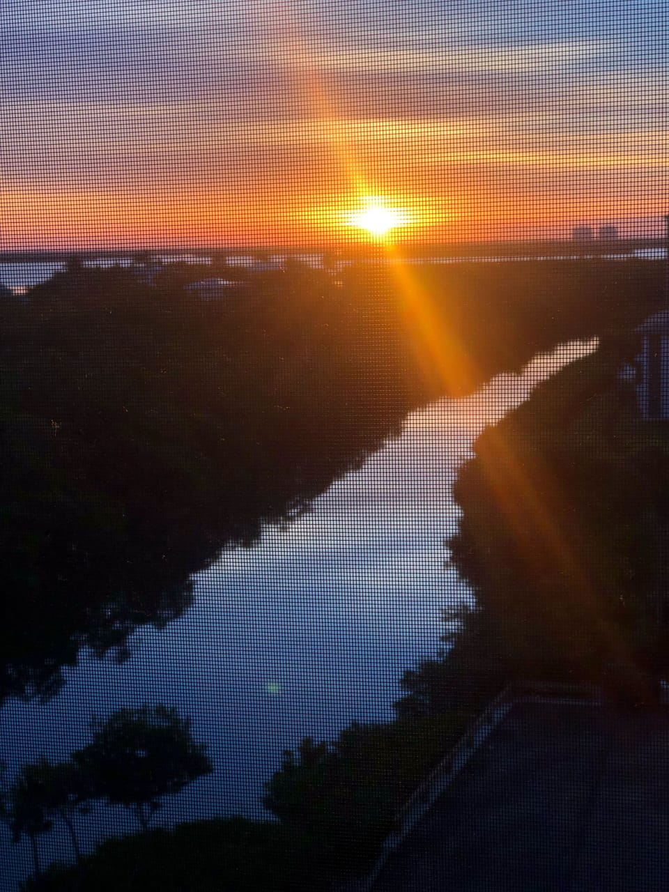 View at sunrise from the lanai