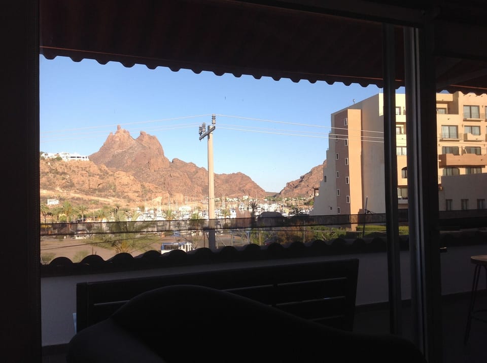 the view from the living room window