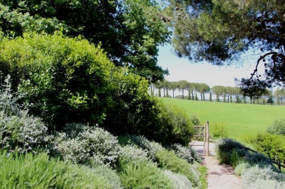 The landscape