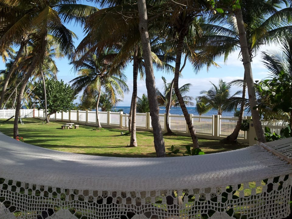 View from the patio Hammock