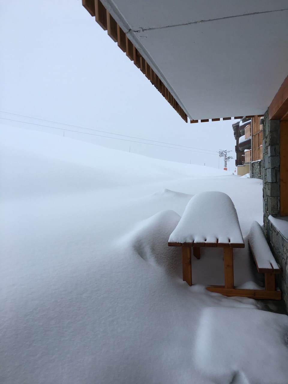 View from the back door