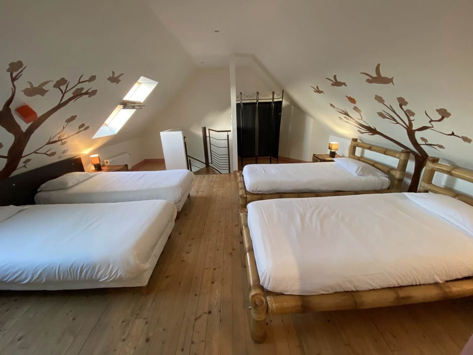 grande chambre pour 4 avec salle d'eau privative