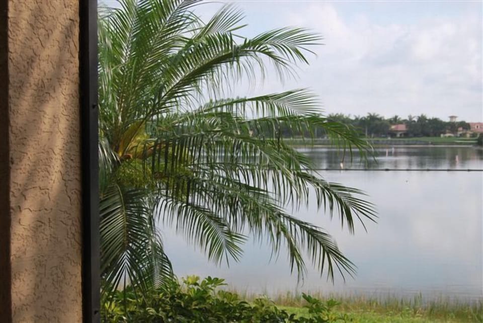 View from Lanai