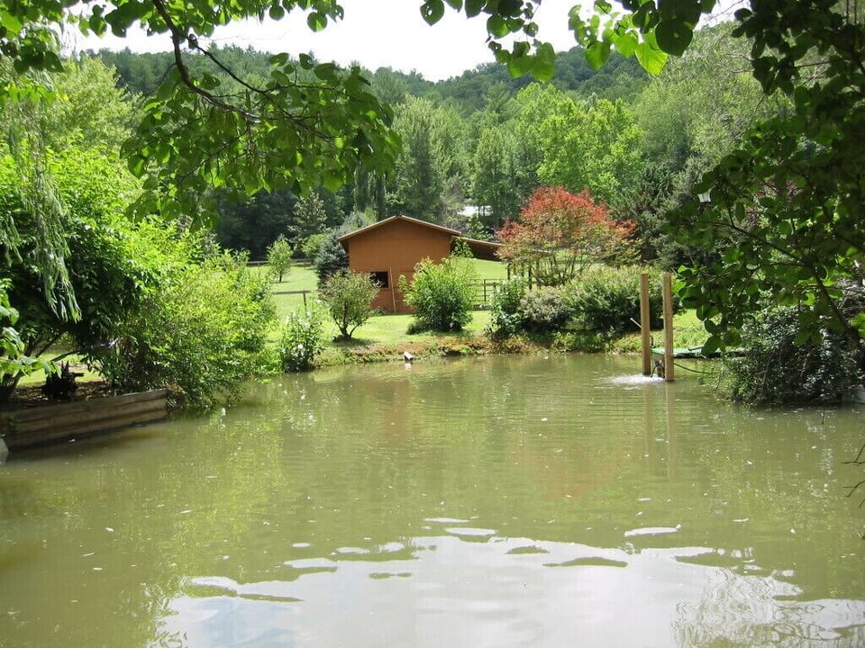 Catfish pond and barn