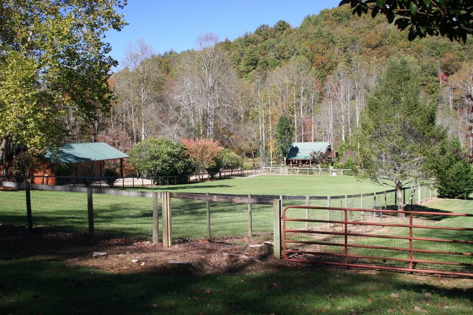 This long view shows the cabin and garage. You can park under the extended roof