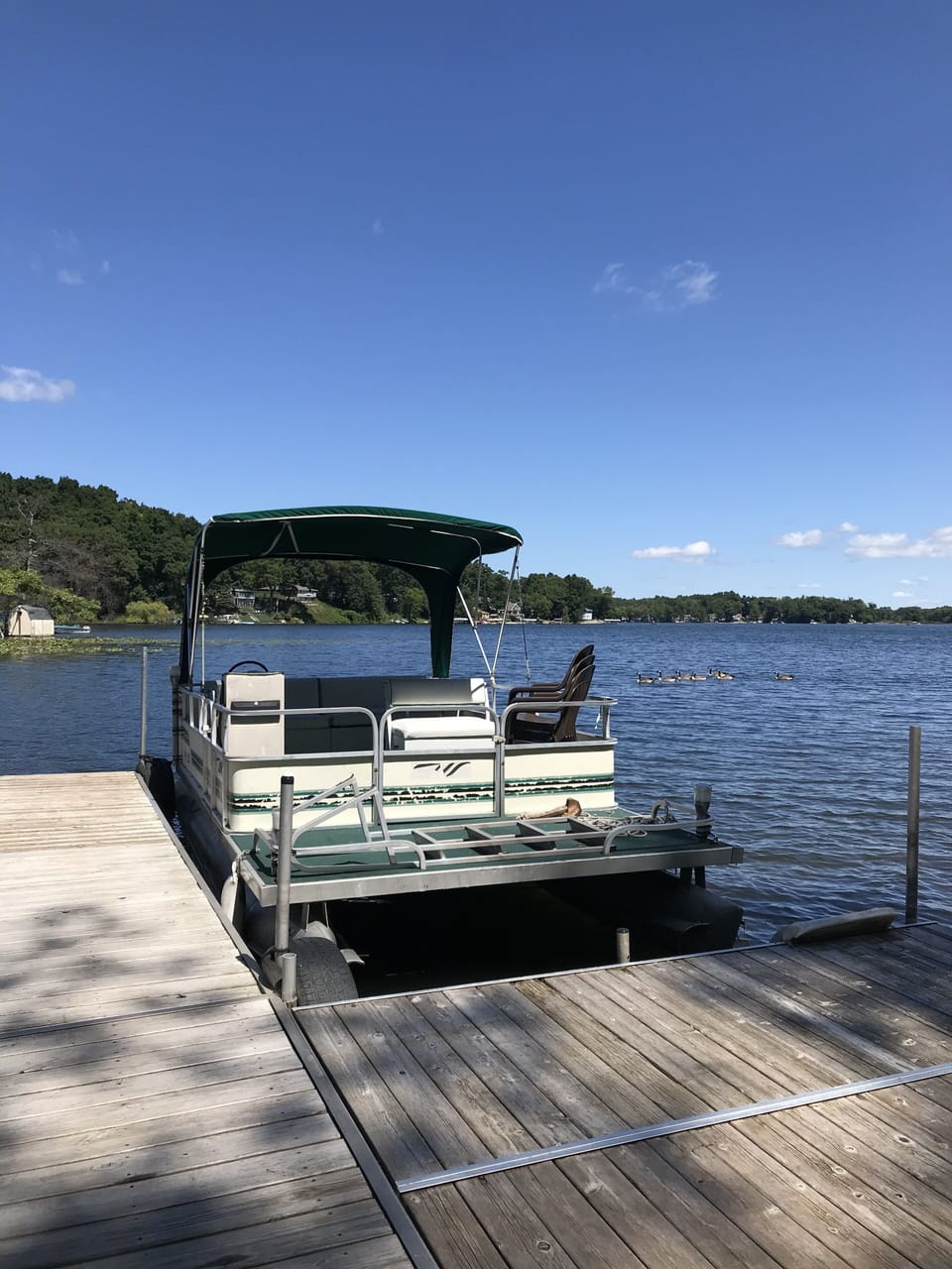 Pontoon for Rent during your stay