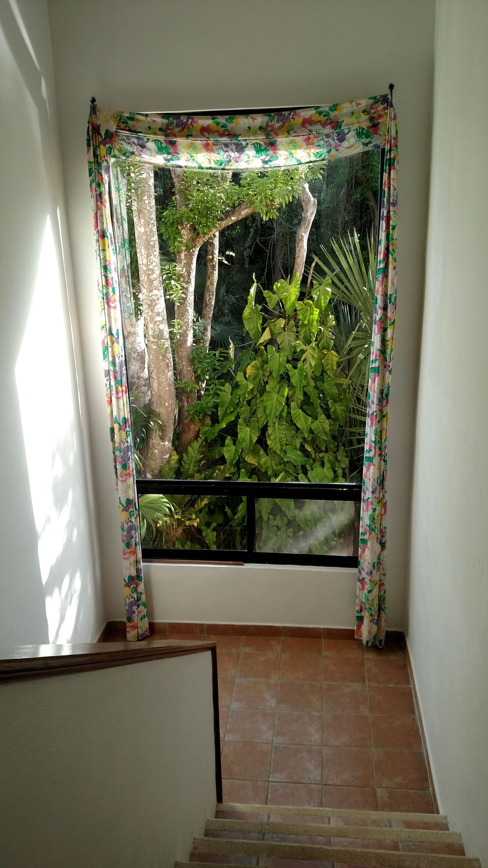 Stairs down and garden view