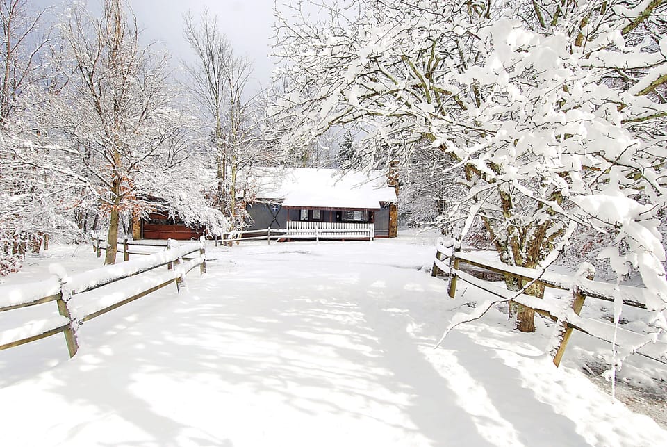 Winter Wonderland!  Welcome to Brookside Chalet