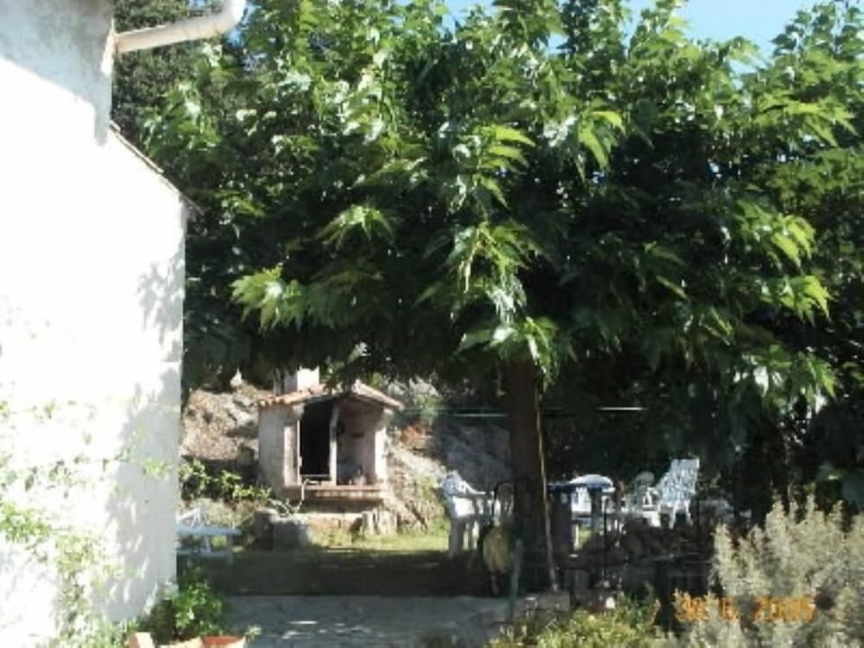 Garden, Park
