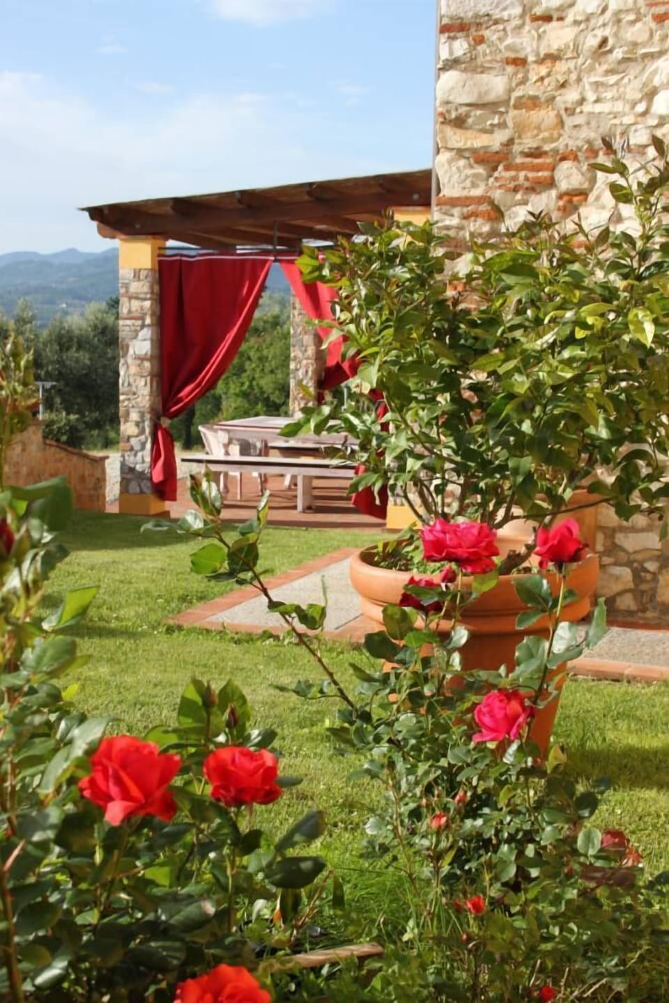 Garden, Park