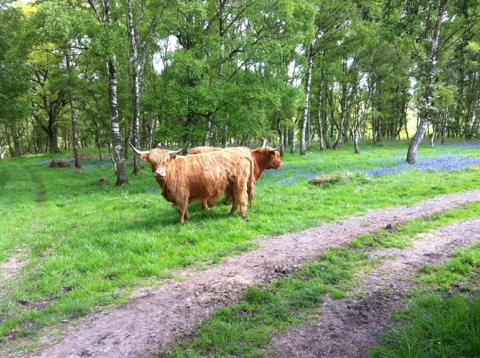 The Neighbours!