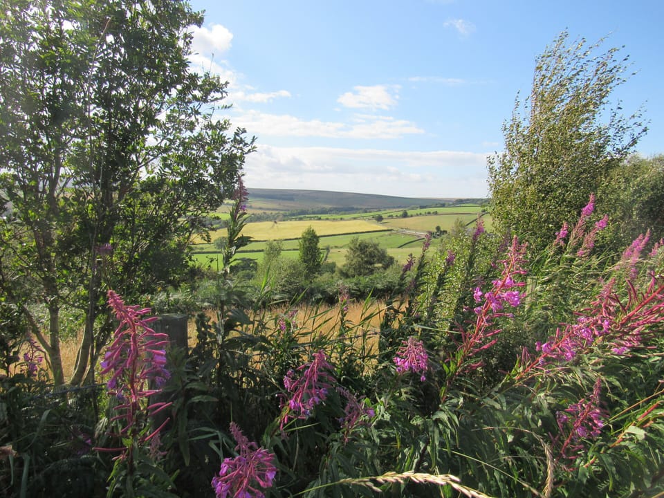 View coming into Thornley Village