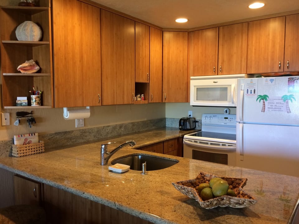 Fully furnished kitchen with bamboo cabinets (new stainless appliances not shown