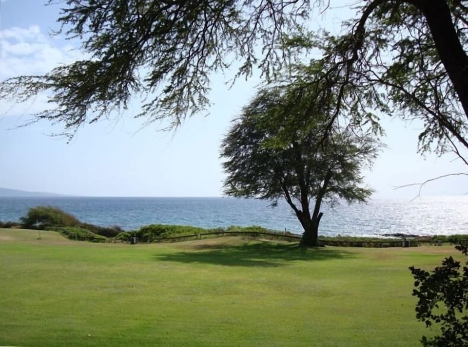 Kamaole III Beach Park directly across the street from our complex...