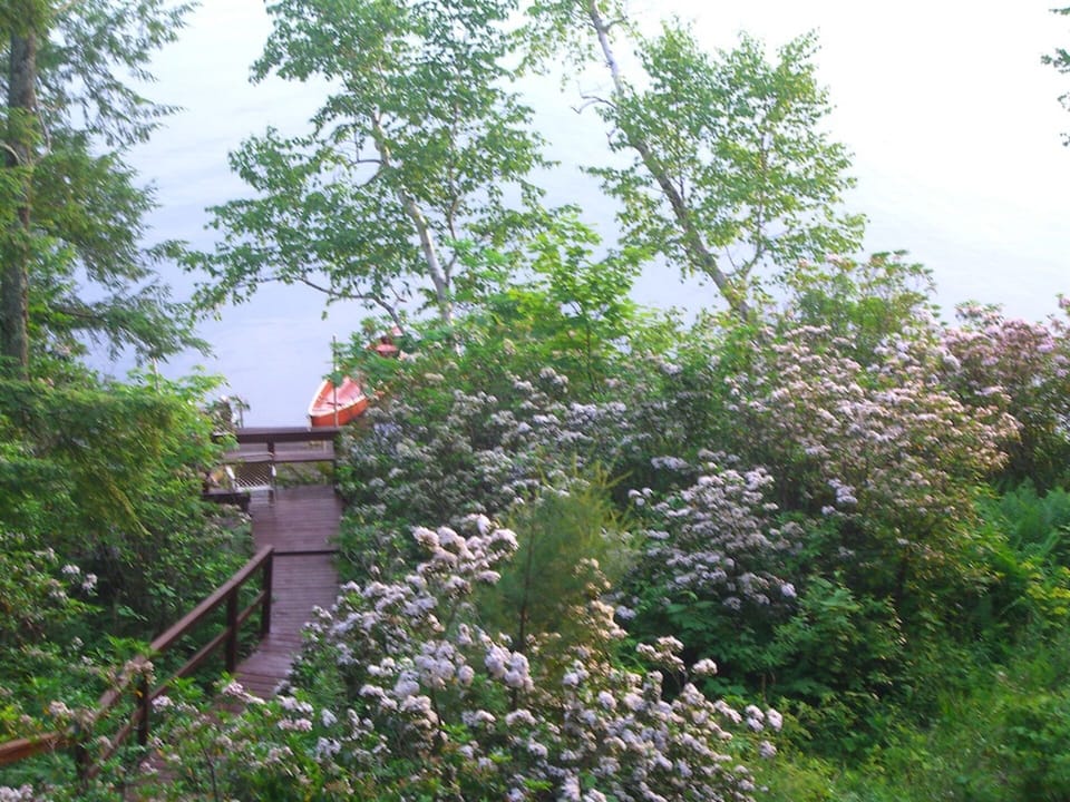 Spring/Early Summer