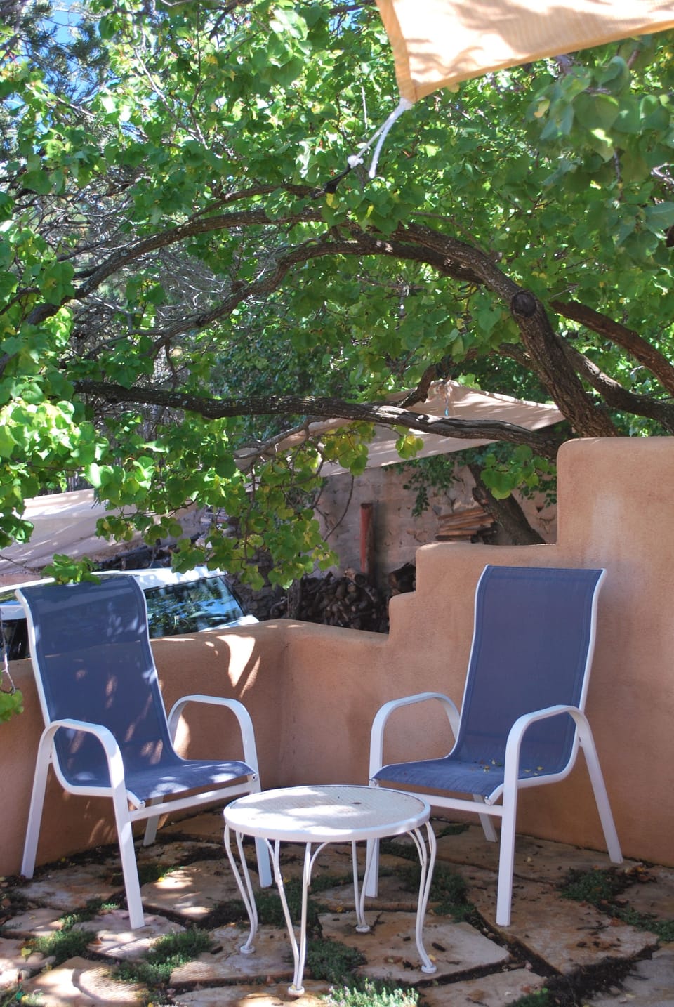 Apricot tree and courtyard
