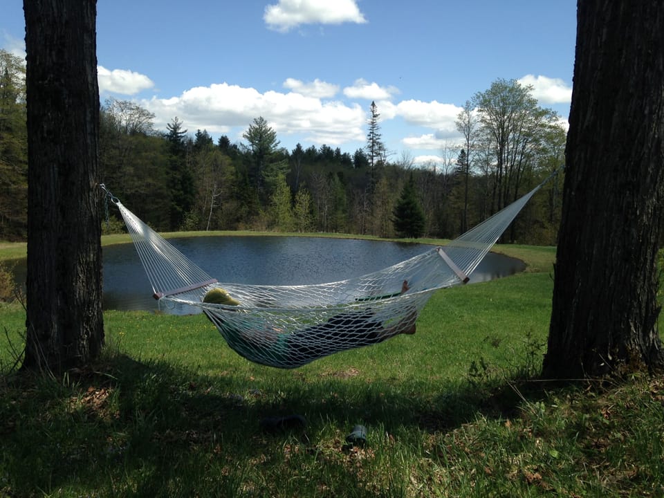 Relax in the hammock overlooking pond