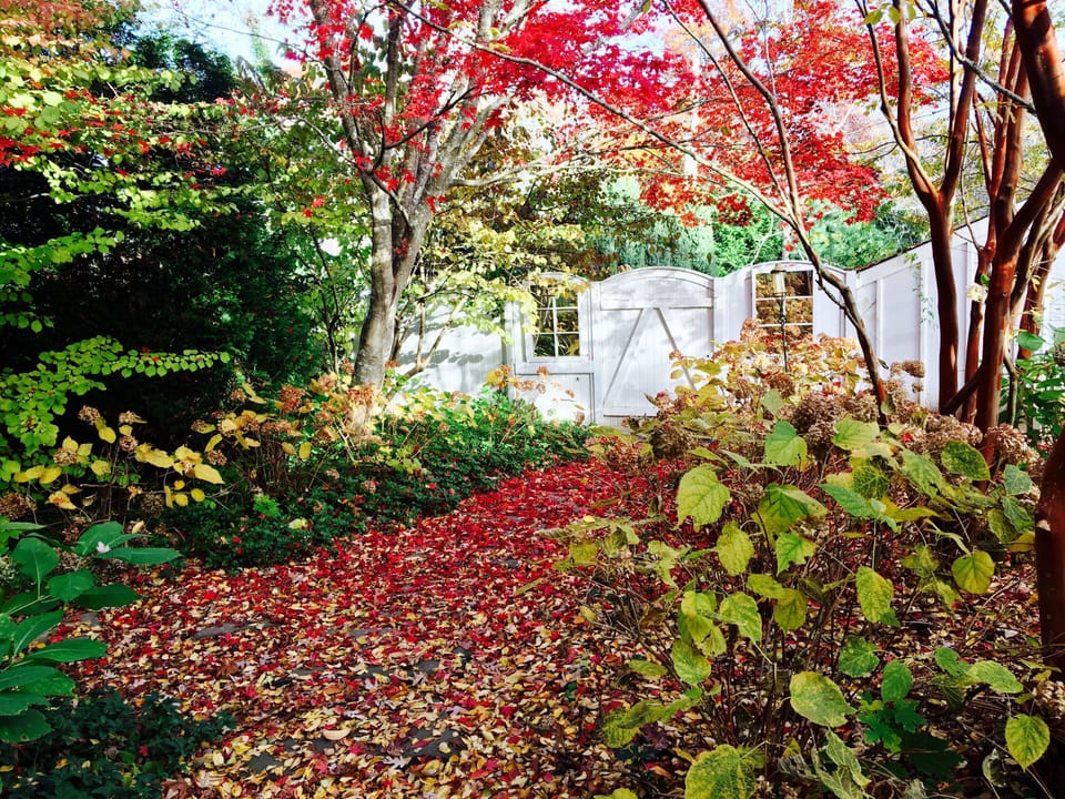 early fall in the hamptons