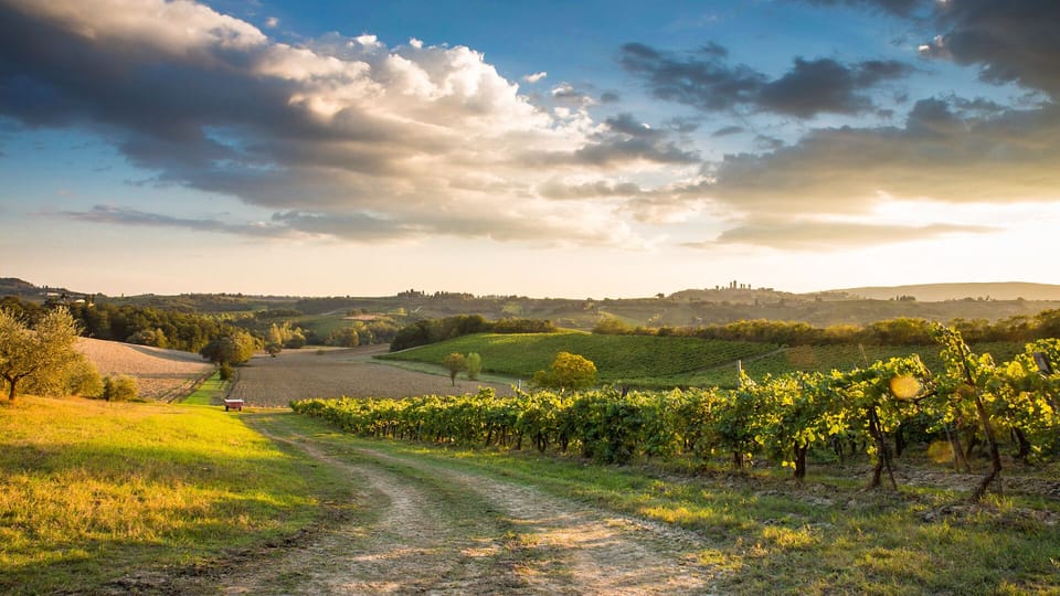 View of the countryside and San Gimignano