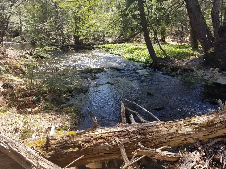 Smallwood Forest Reserve