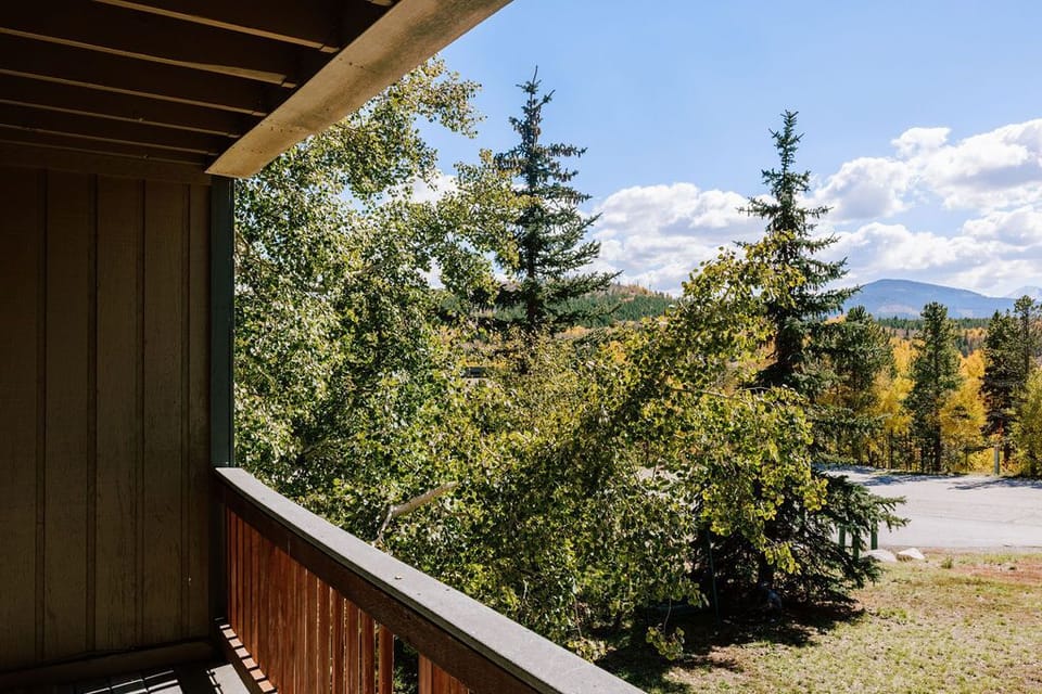 South-Facing Balcony View