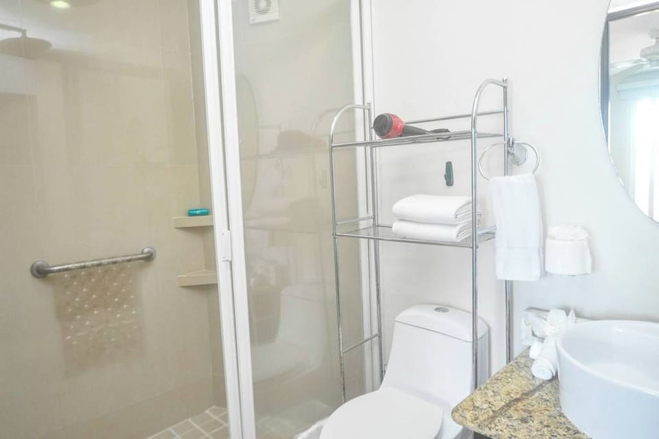 Walk-in shower and a vanity with plenty of counter space.