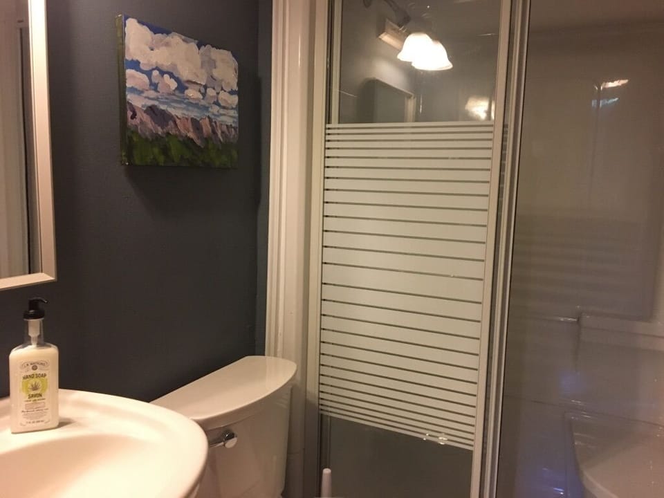 Bathroom with sit-down shower