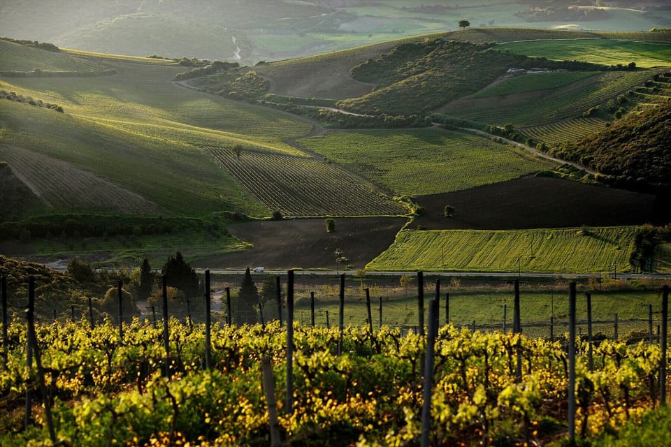 Nemea wineries (30-40 minutes' drive)