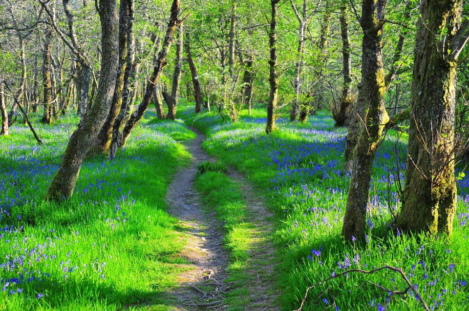  path by river Nevis in Spring