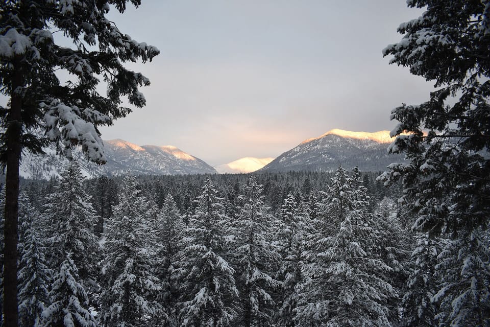 Cozy winter view from deck