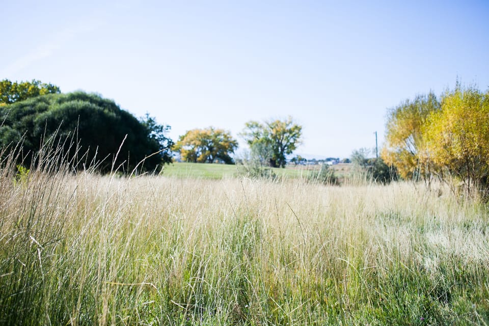 Sweeping views of the Colorado National Monument, Bookcliffs & the Grand Mesa.