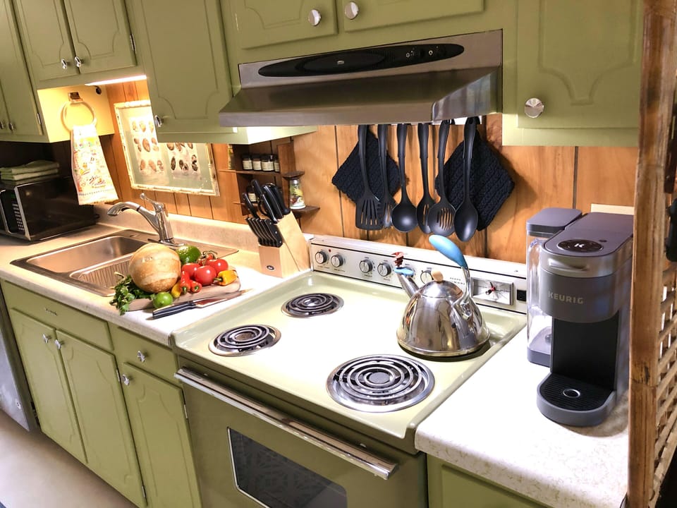 Original Formica countertops and meet Ava!, our vintage avocado electric stove 