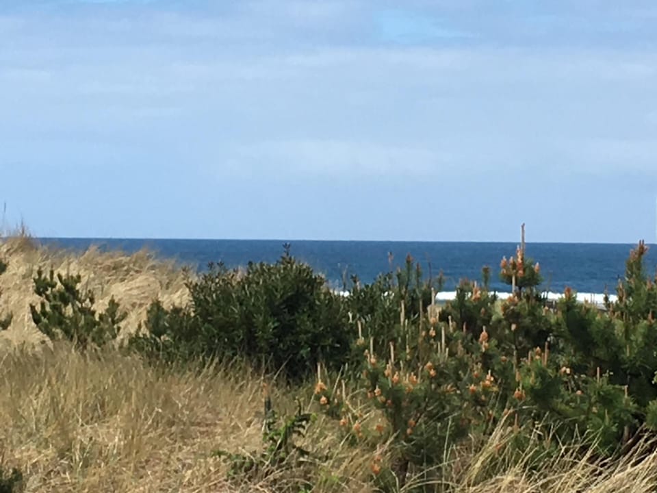 Undeveloped lot across the street allows privacy