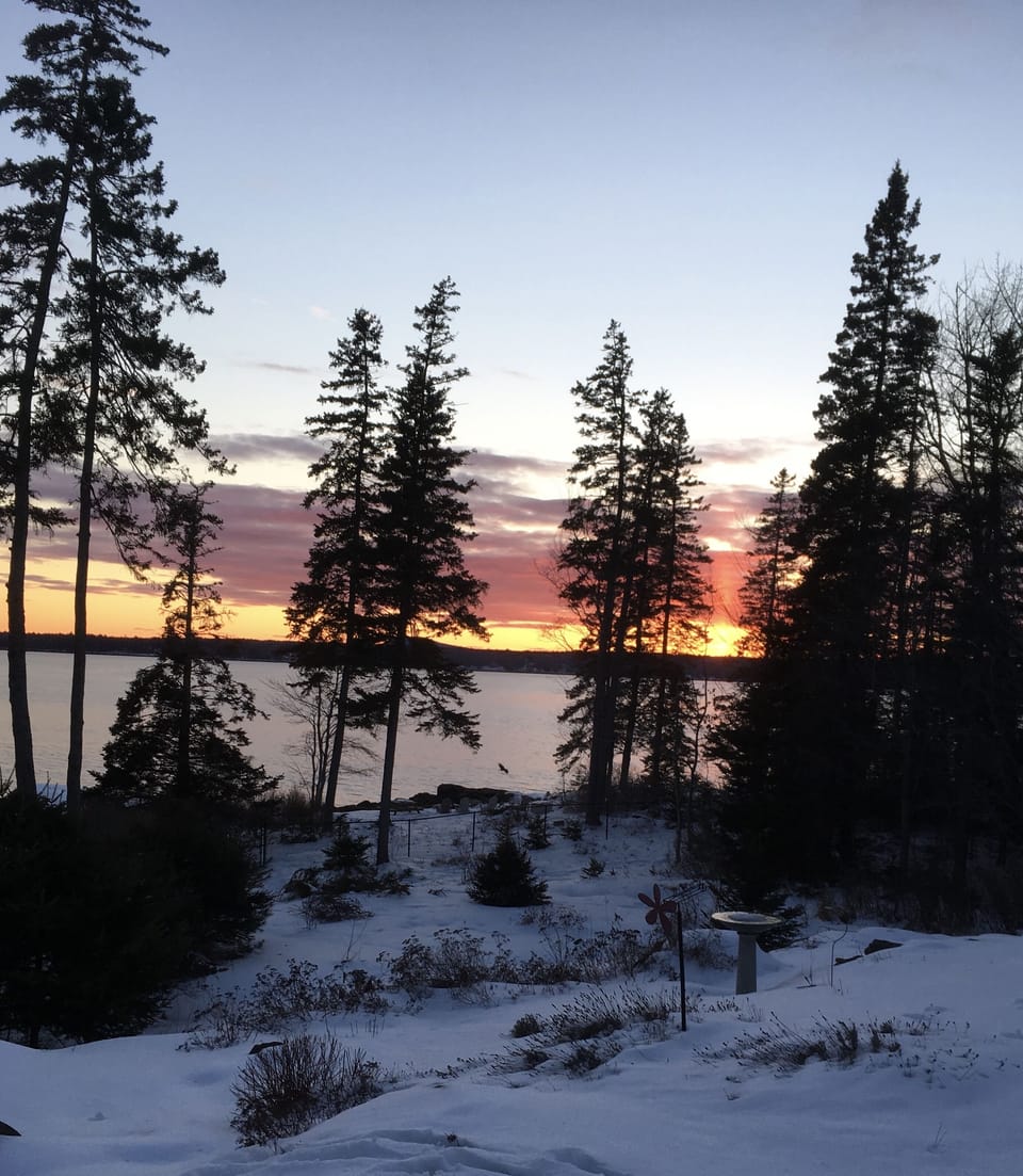 Winter sunset with bald eagle over Loon Cove