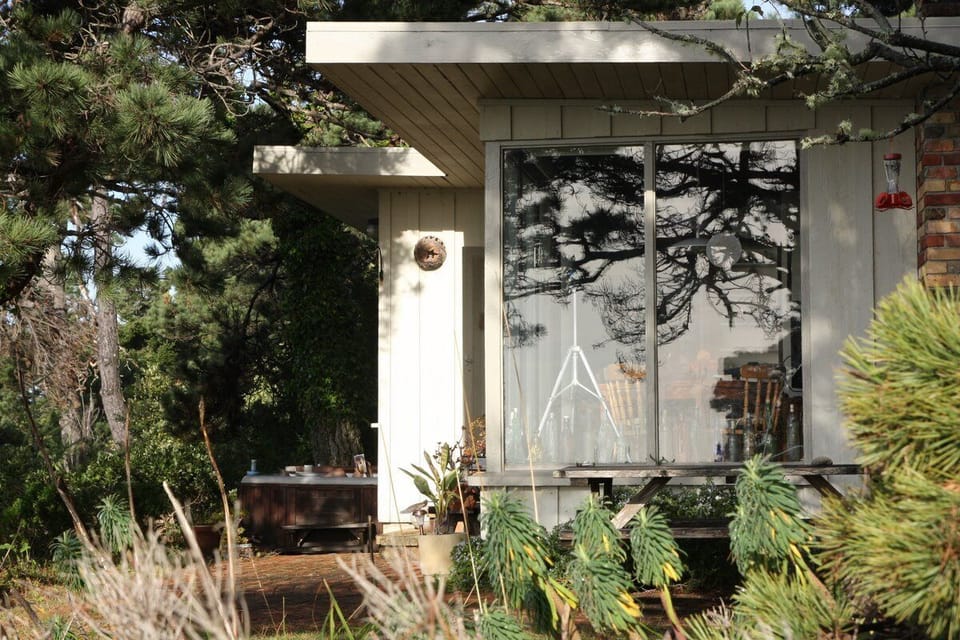 Front yard