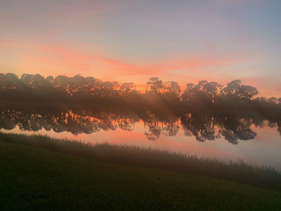 Beautiful sunset walk in the neighborhood.
