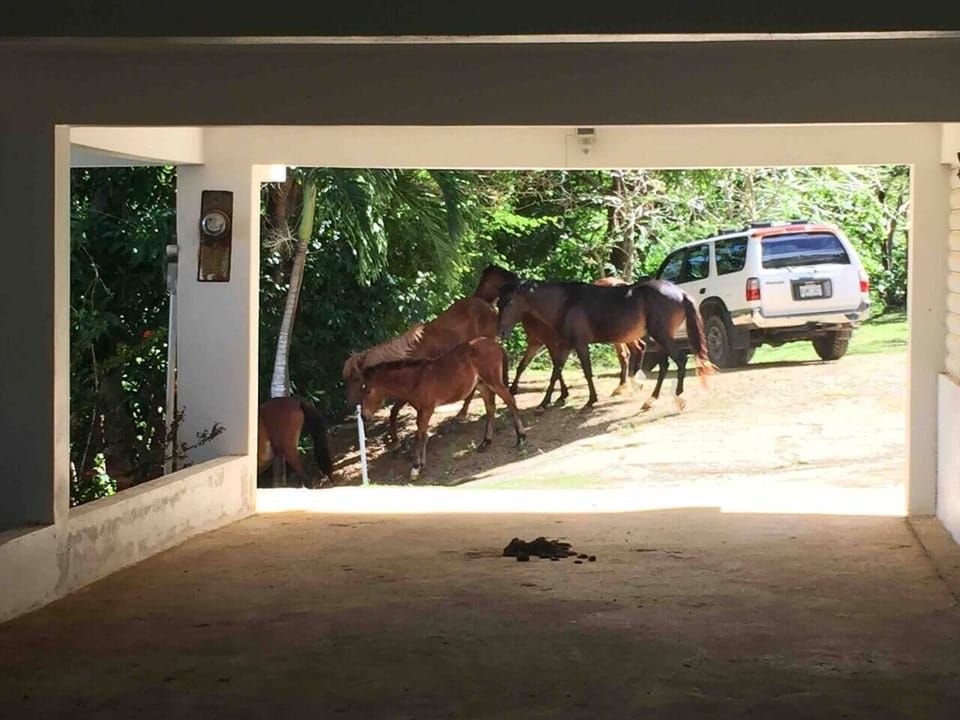 Covered parking