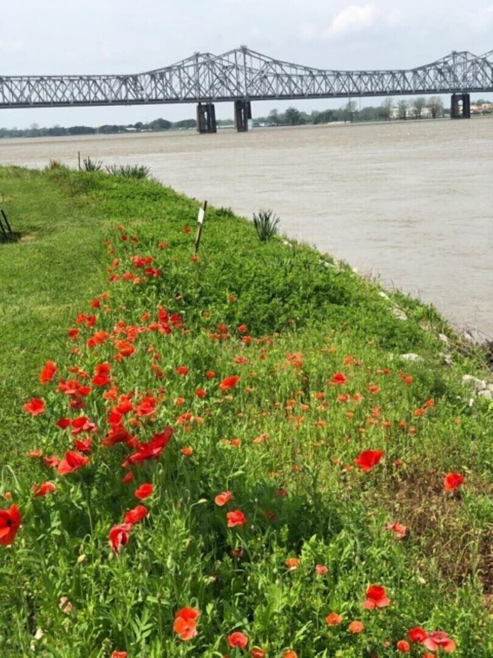 One Block away, Silver Street, Famous Under the Hill! Views of the River