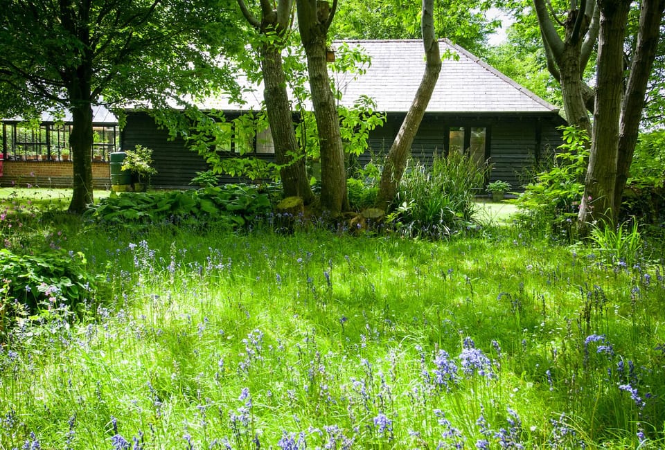 Private garden with bluebell wood