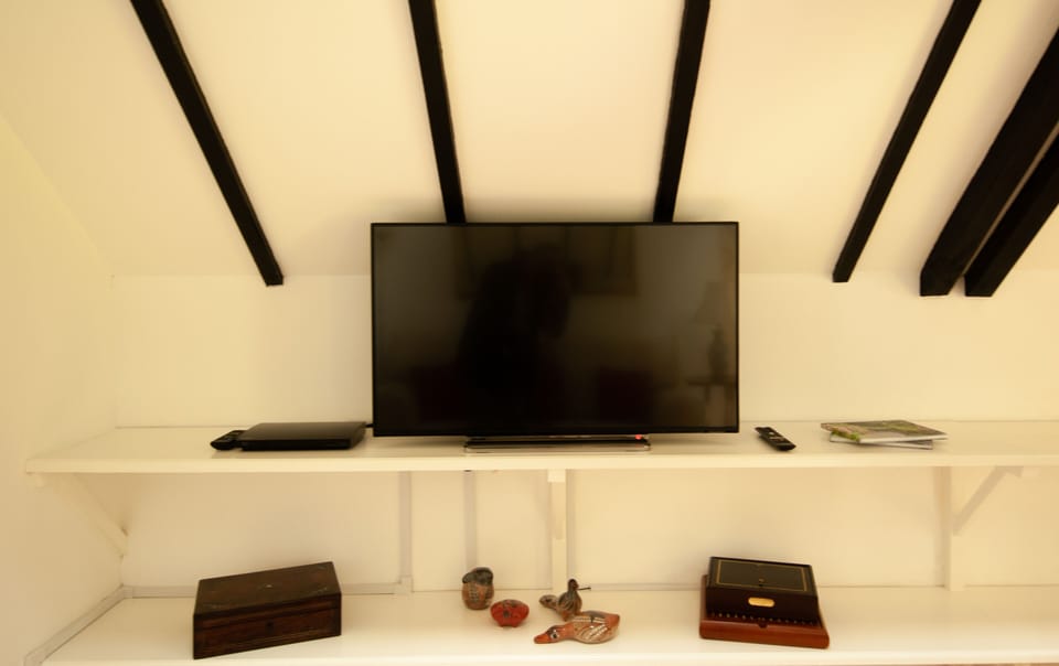 The flatscreen TV