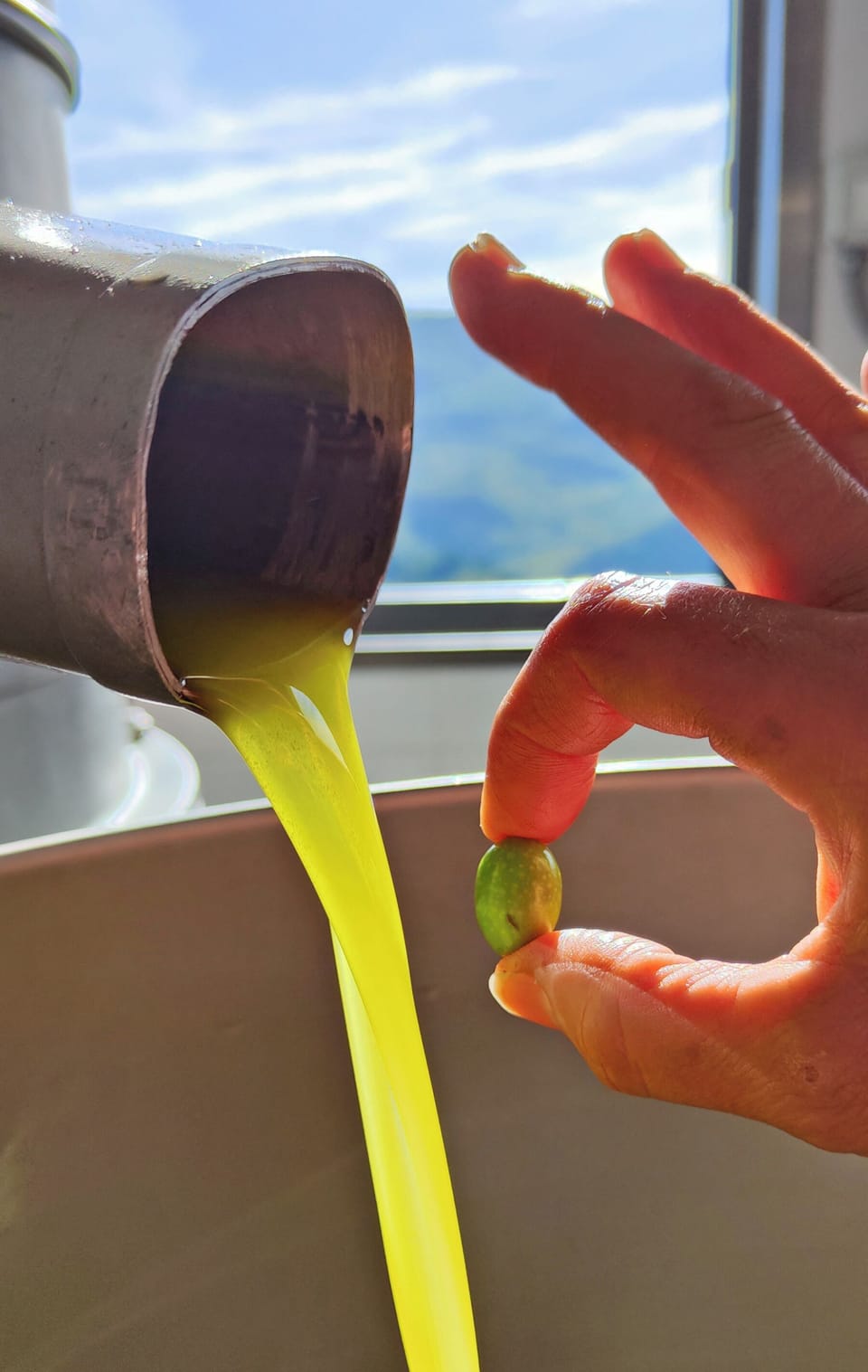 Fresh, Extra Virgin Olive Oil produced in Villa Cafaggiolo