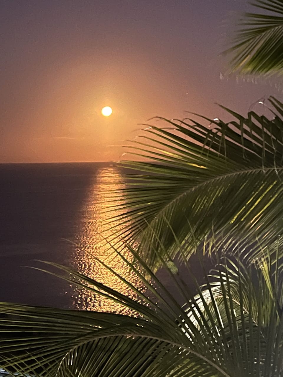 Moon setting view from the balcony, shared by one of our guests.